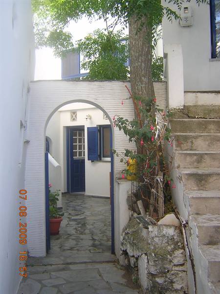 Volax Arco