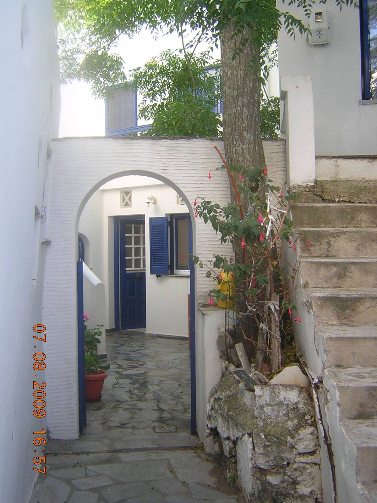 Volax Arco
