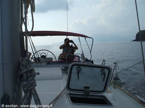 Avvistamento delfini alle Eolie
