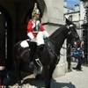 Londra - Guardie a cavallo REGNO UNITO 