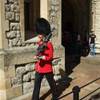 Londra - Guardia alla Tower of London REGNO UNITO 