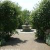London - Hyde Park (il Giardino delle Rose) REGNO UNITO 