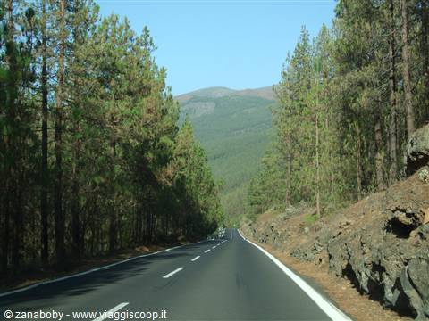 Valle de La Orotava (Tenerife)