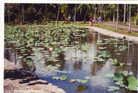 MAURITIUS: VIAGGIO DI NOZZE