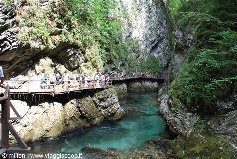 gole di vintgar