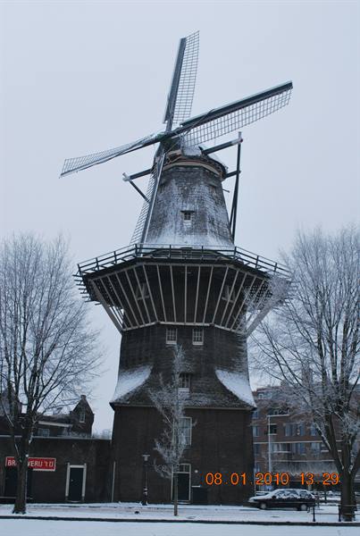 mulino