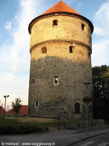 In giro per la fredda e verde Estonia