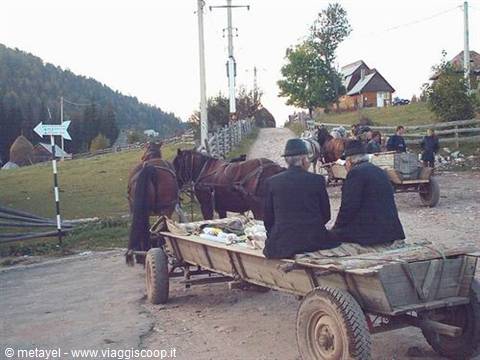 Sui monti Apuseni
