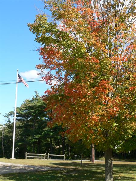 Fall Foliage in Duxbury MA