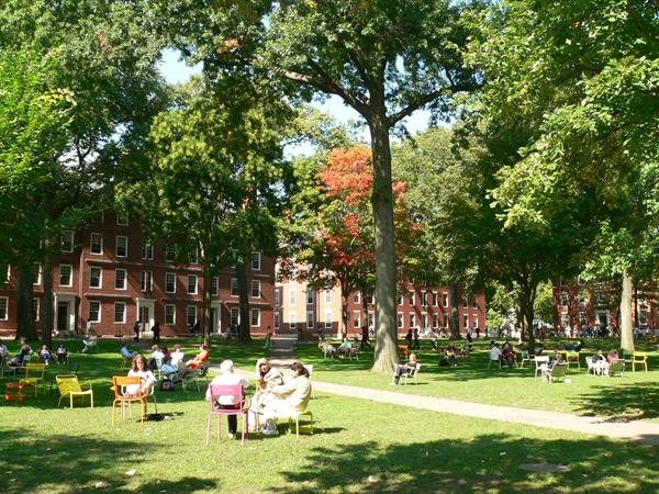 Harvard University