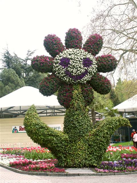 Mainau