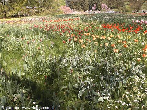 Mainau