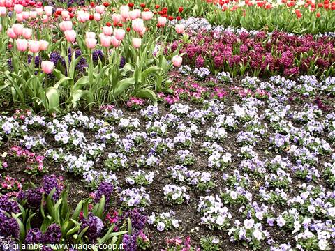 Mainau