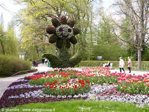 Mainau