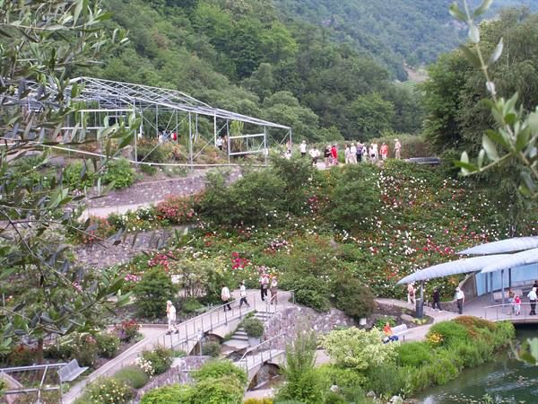 Merano 046 - Giardini di Castel Trauttmansdorff