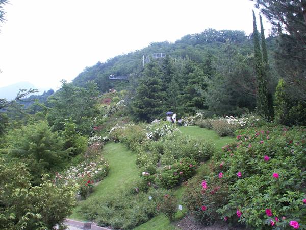 Merano 051 - Giardini di Castel Trauttmansdorff