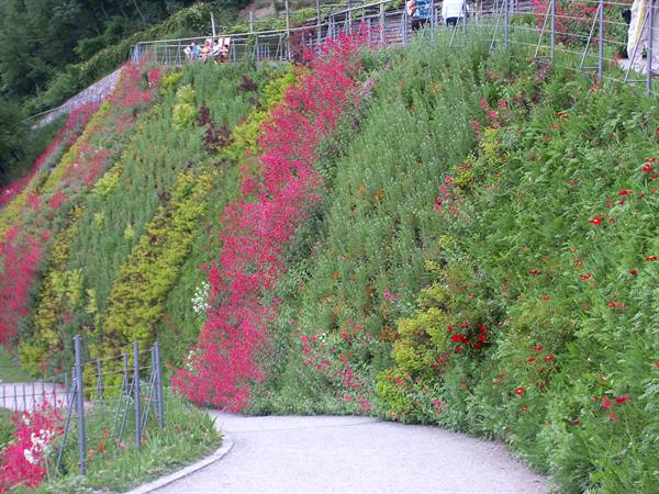 Merano 056 - Giardini di Castel Trauttmansdorff