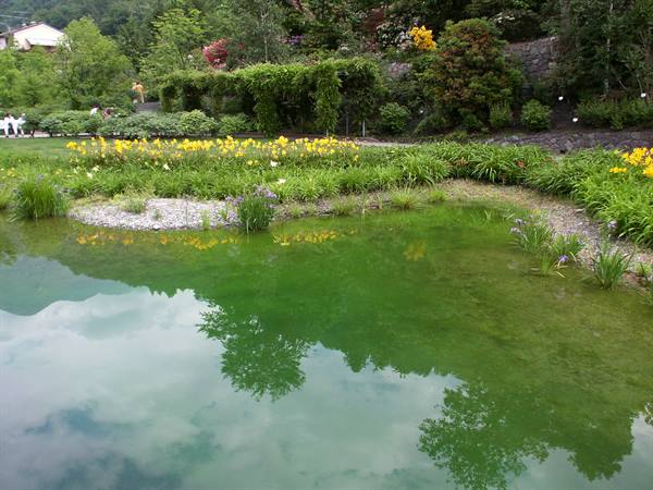 Merano 067 - Giardini di Castel Trauttmansdorff