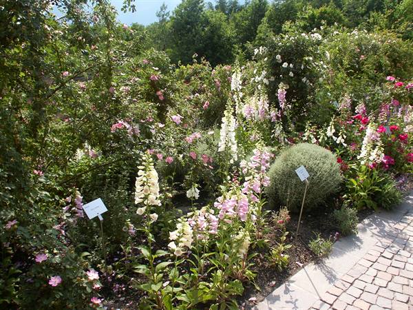 Merano 088 - Giardini di Castel Trauttmansdorff