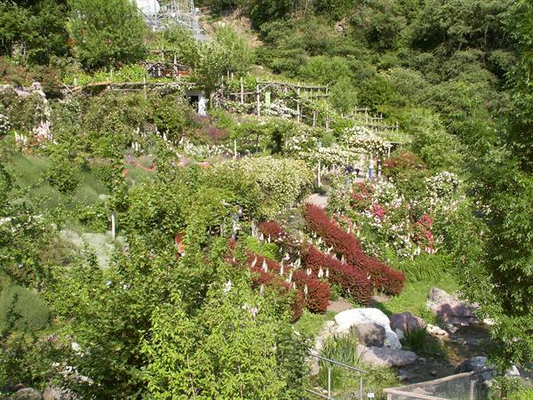 Merano 093 - Giardini di Castel Trauttmansdorff