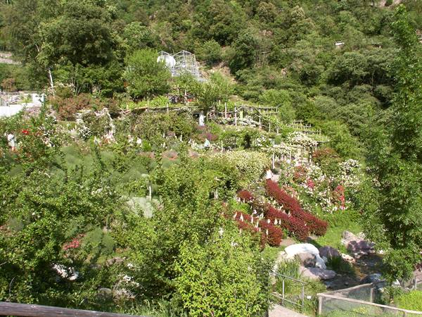 Merano 096 - Giardini di Castel Trauttmansdorff