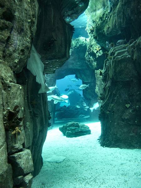 01 Lisbona - 06.30 Parque das Nações - Oceanario
