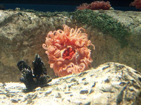 01 Lisbona - 06.34 Parque das Nações - Oceanario