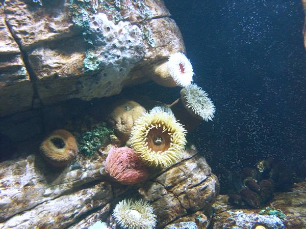 01 Lisbona - 06.35 Parque das Nações - Oceanario