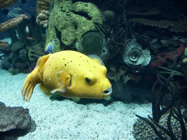 01 Lisbona - 06.48 Parque das Nações - Oceanario