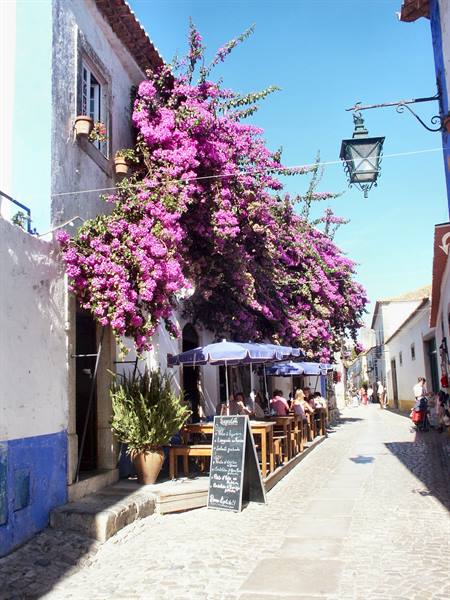 06.14 Óbidos - Rúa Direita