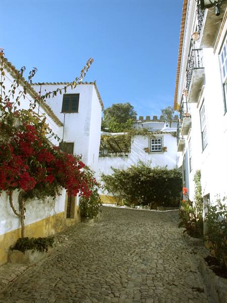06.15 Óbidos - Vicoli