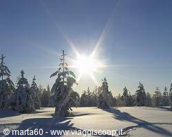Lapponia e Rovaniemi il paese di Babbo Natale