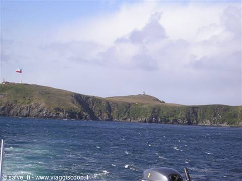 cAPO hORN