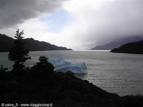 Lago Grey (ParcoTorri del Paine)