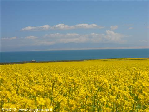 lago Qinghai - Hu