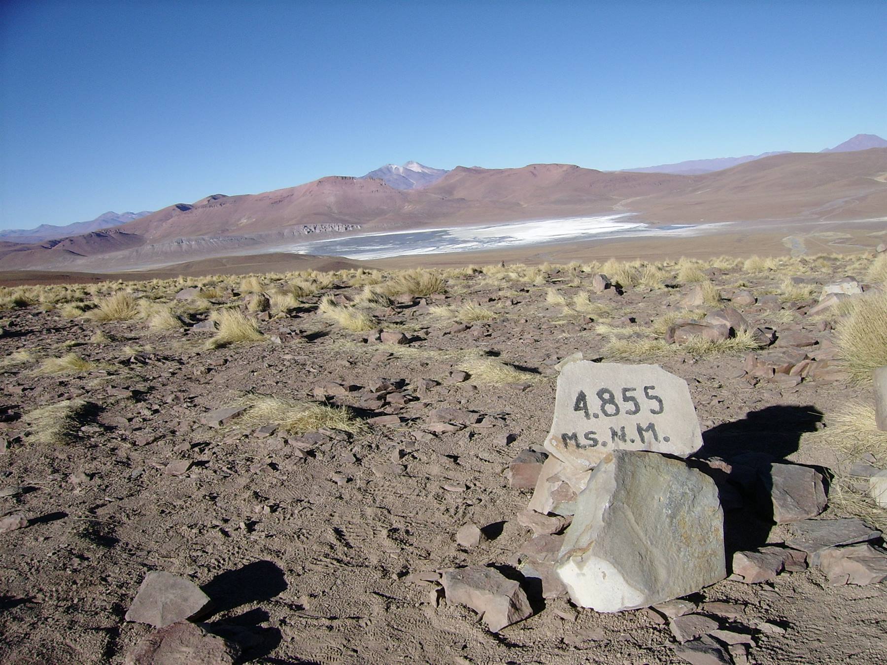a 4855m ... vista sulla laguna Hedionda