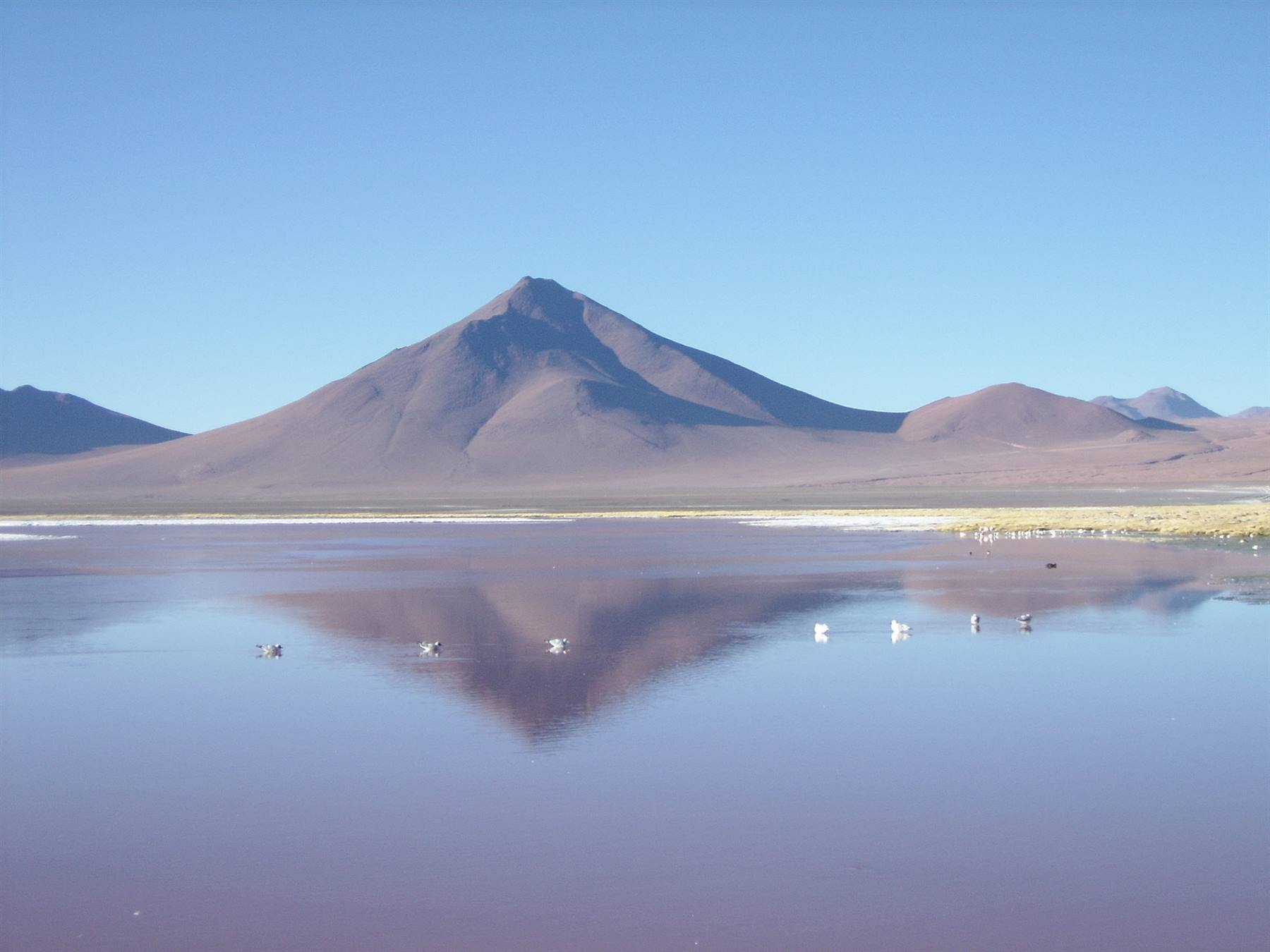 Laguna Colorada