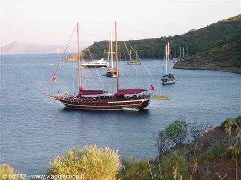 Aktur