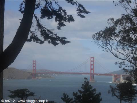 su e giù per le colline...visitando San Francisco