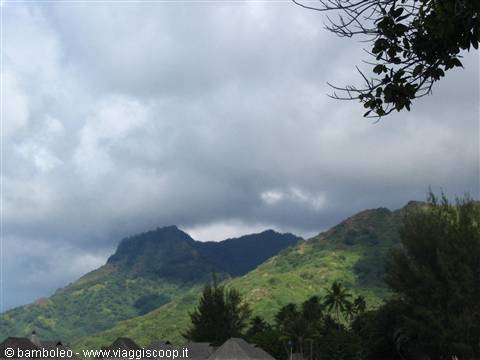 moorea