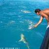 laguna blu POLINESIA FRANCESE 