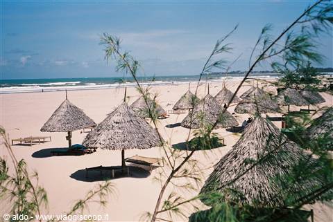 Playa Oasis
