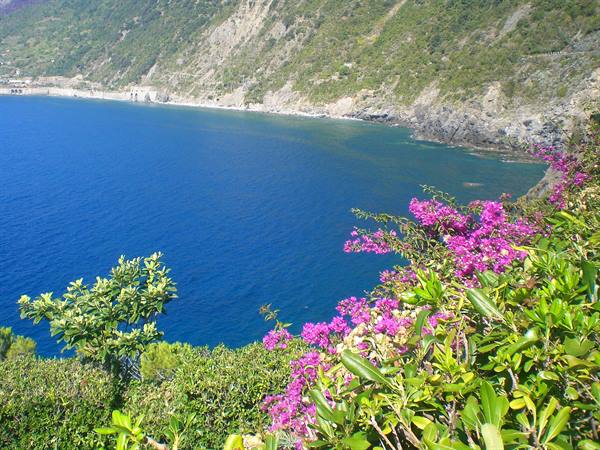 Manarola