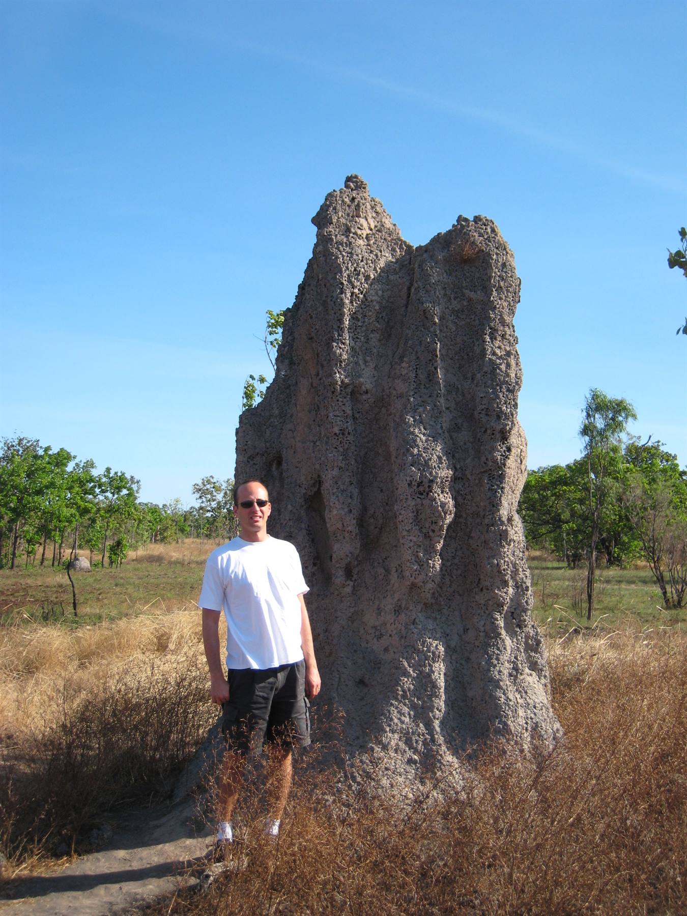 Nido di Termiti a Kakadu