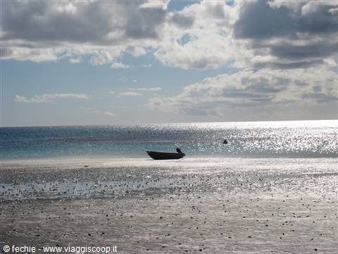 Bassa marea a Lizard Island