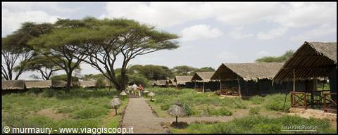 Amboseli - il Kibo Safari Camp 2
