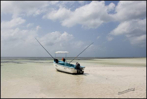 Watamu - Sardegna 2 bis