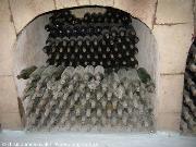 http://www.chisinaumoldovatur.com/moldava/cantine/
