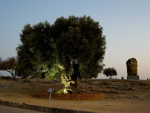 La Valle dei Templi