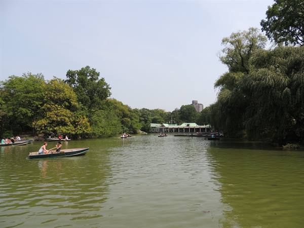 Central Park South Bathesda Lake